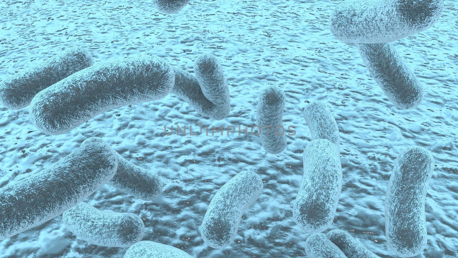 3D illustration of a bacteria. Closeup of a bacterial structure against clear background with copy space for text