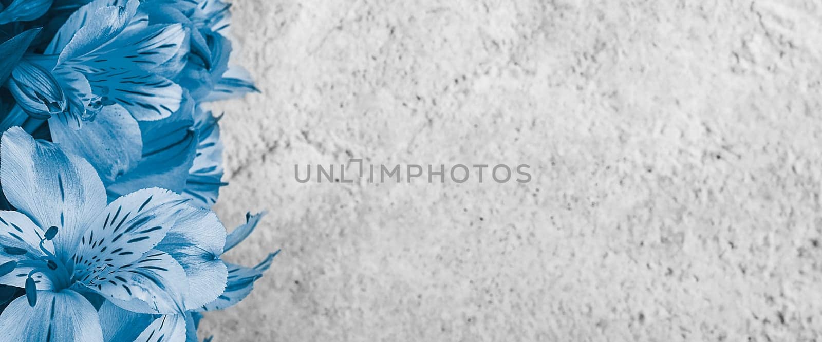 Layout for a greeting card. A bouquet of beautiful blue orchids on a light background. Mocap, blank, free space.