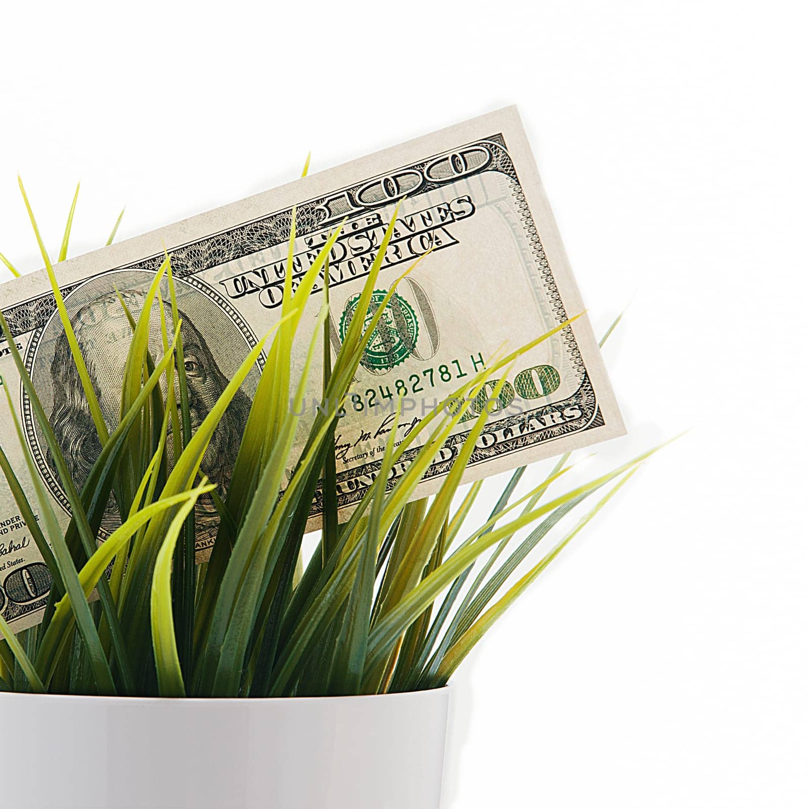 Cash out a hundred American bills in the grass isolated on a white background.