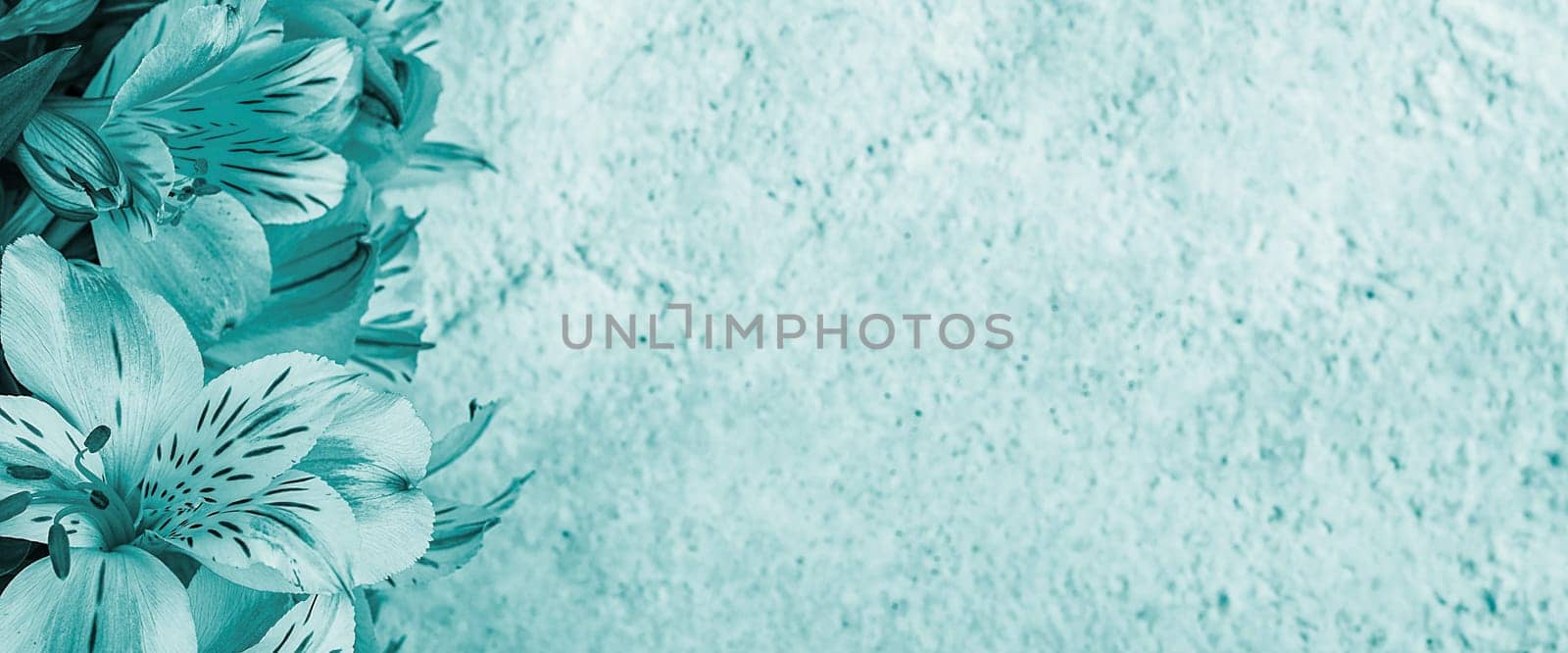 Layout for a greeting card. A bouquet of beautiful aquamarine orchids on a light background. Mocap, blank, free space.