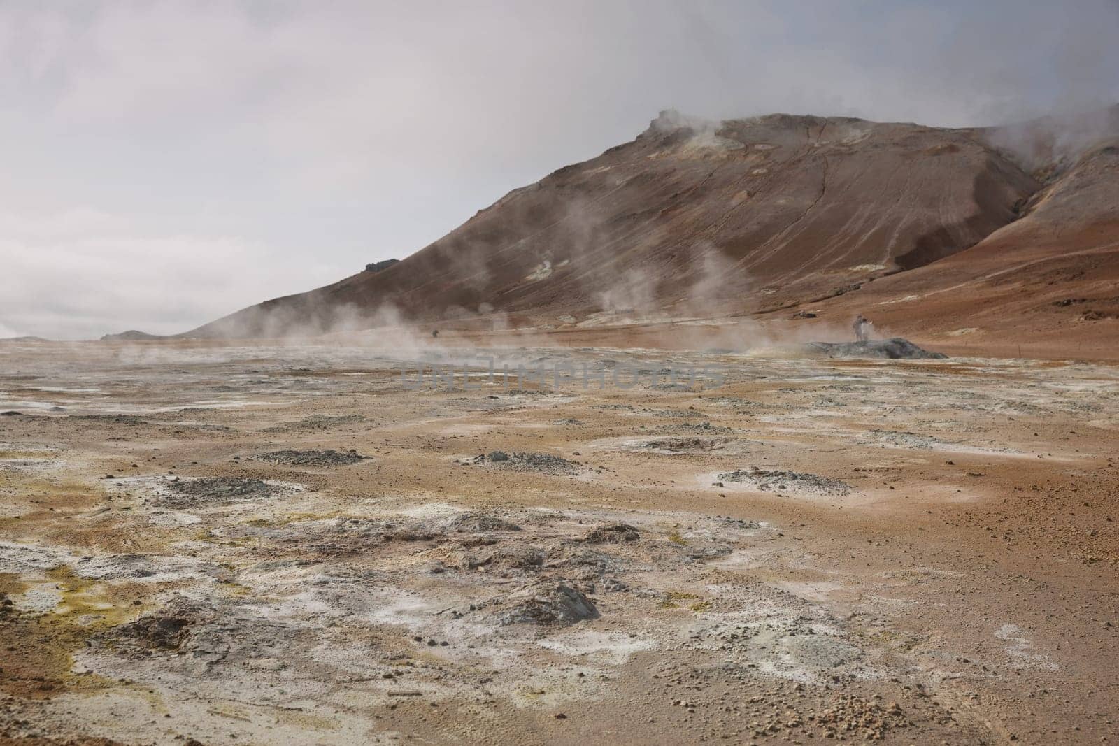 Námaskarð. Fumarole field in Namafjall, Iceland. Namaskard geothermal beauty landscape with mud pools and steam. Icelandic brown landscape. Landscape which pools of boiling mud and hot springs.