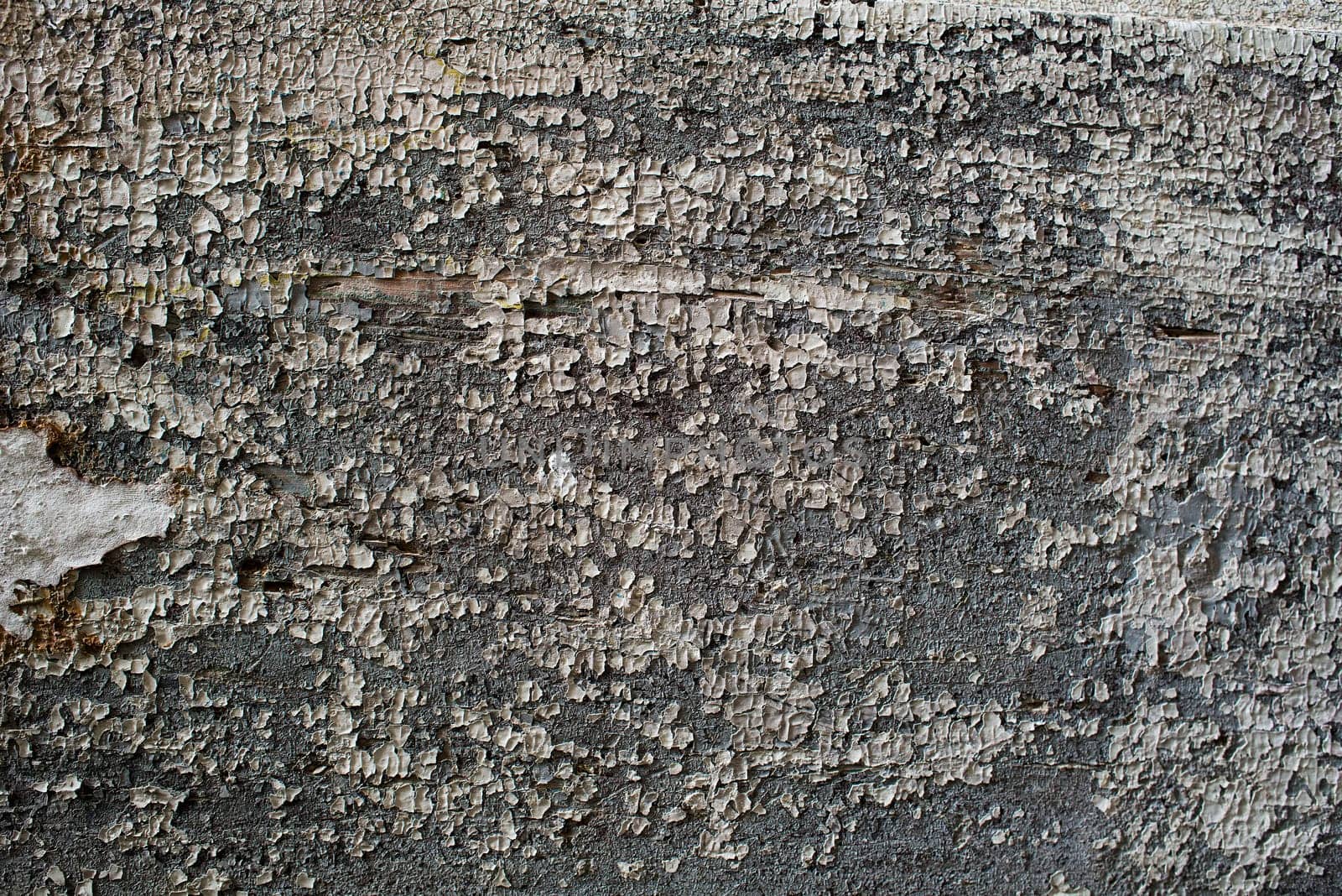 Grey wood texture background coming from natural tree. The wooden panel has a beautiful old pattern that is empty