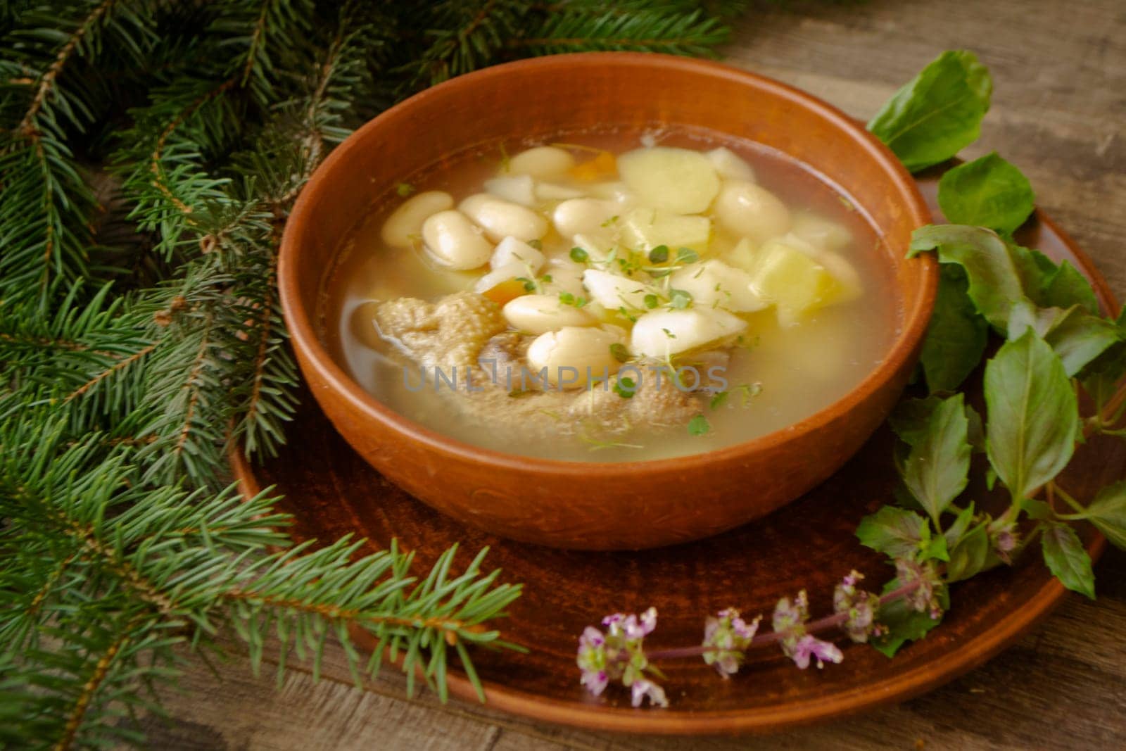 A bowl of healthy white beans soup, traditional belarusian cuisine. Basil and fir branch