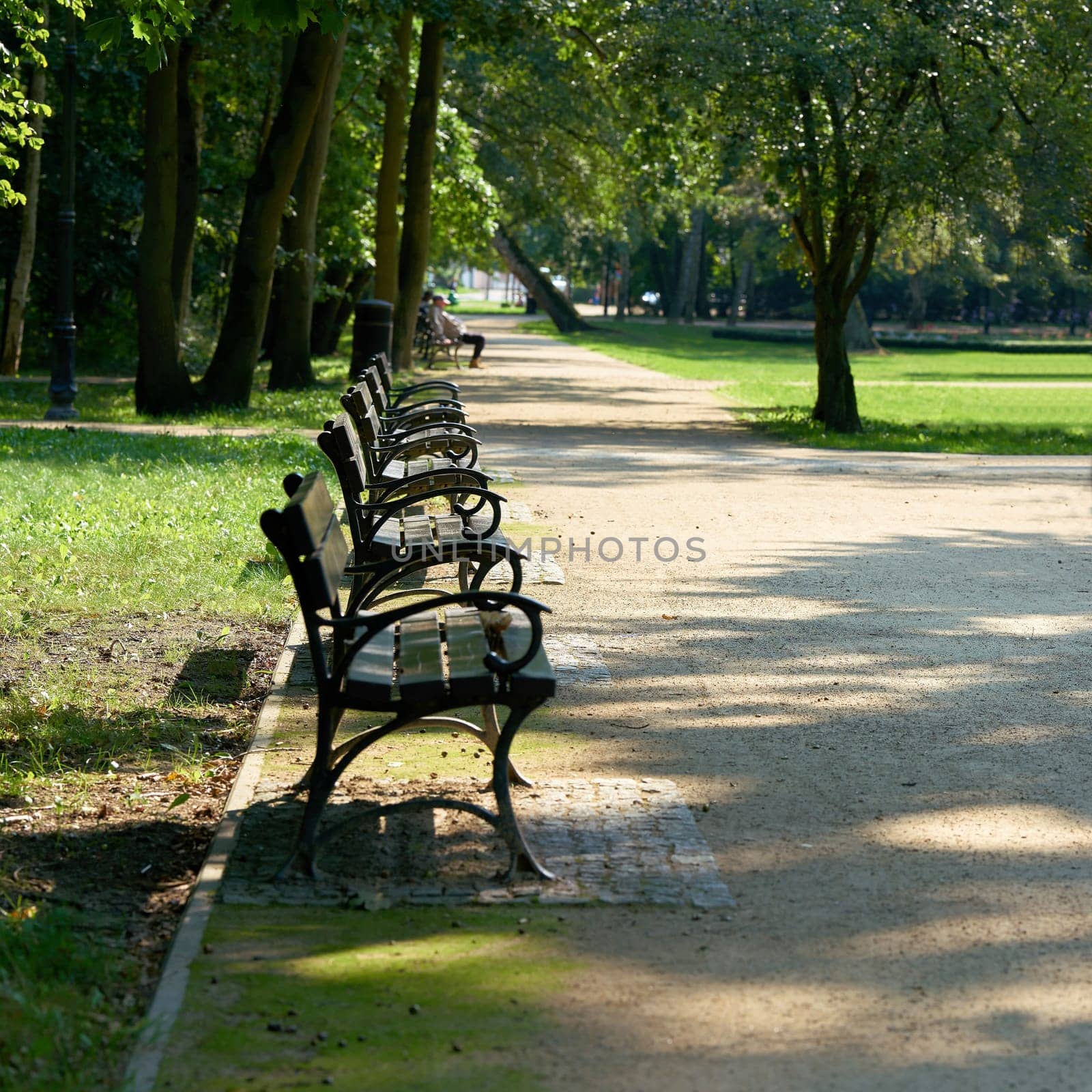Benches in the public Park Zdrojowy (Spa Park) in Swinoujscie in Poland. Peter Joseph Lenné designed the park around 1828
