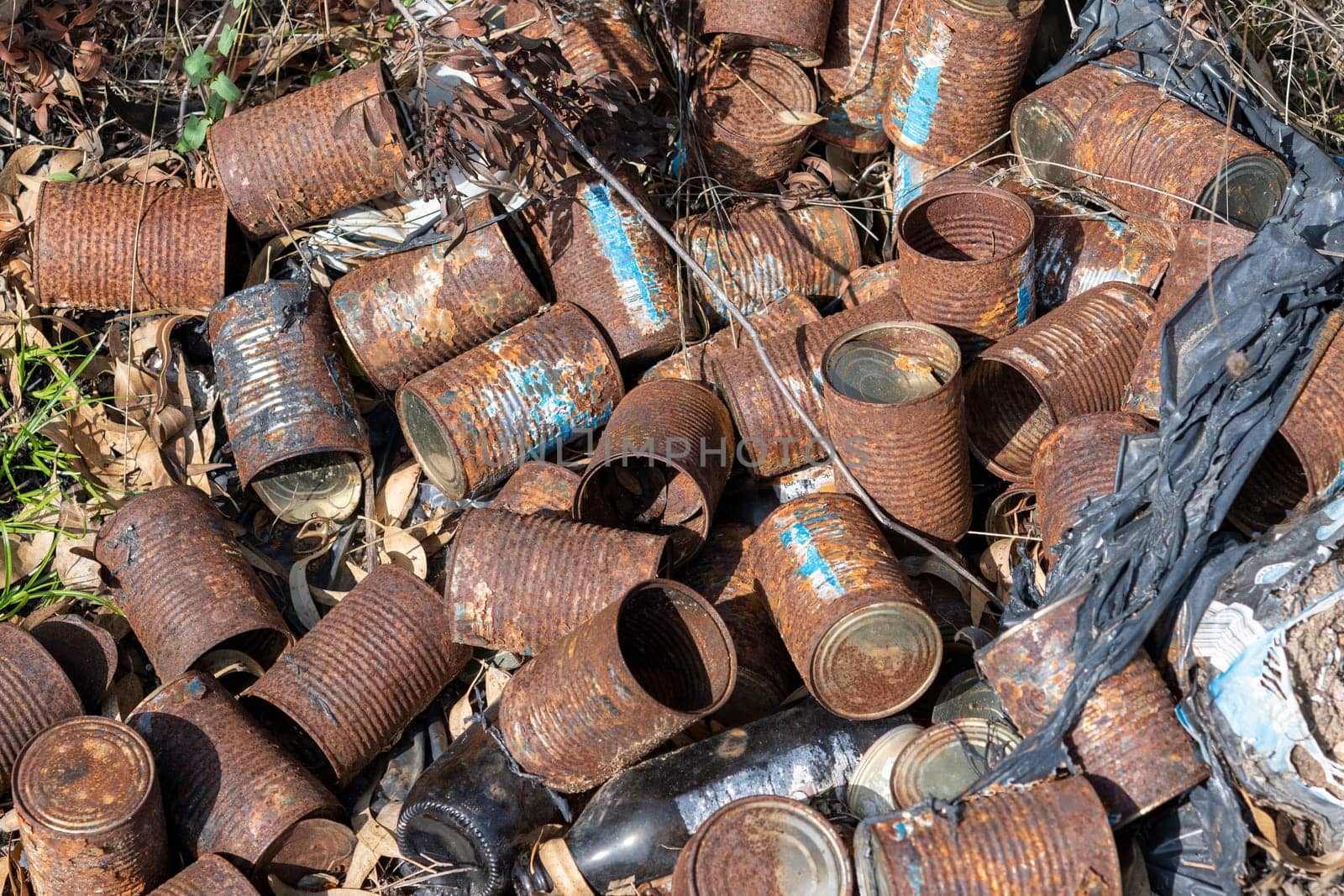 Old rusty cans lie on the ground and dry grass in nature. Pollution and environment.