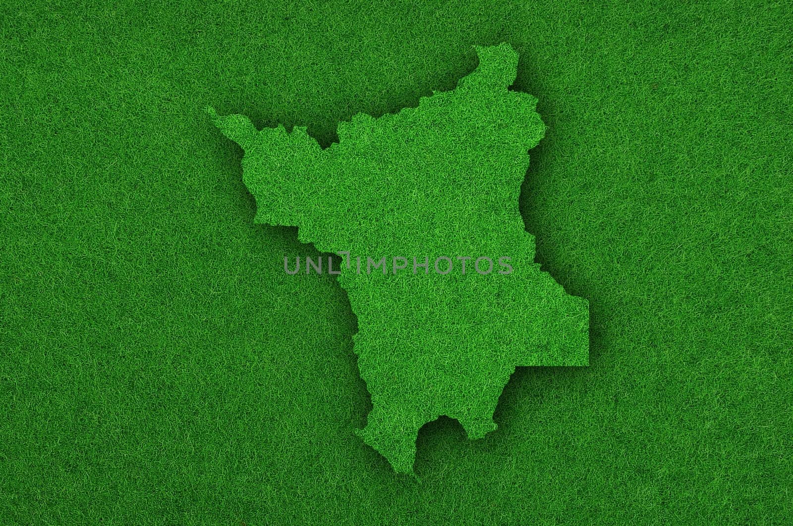 Map of Roraima on green felt