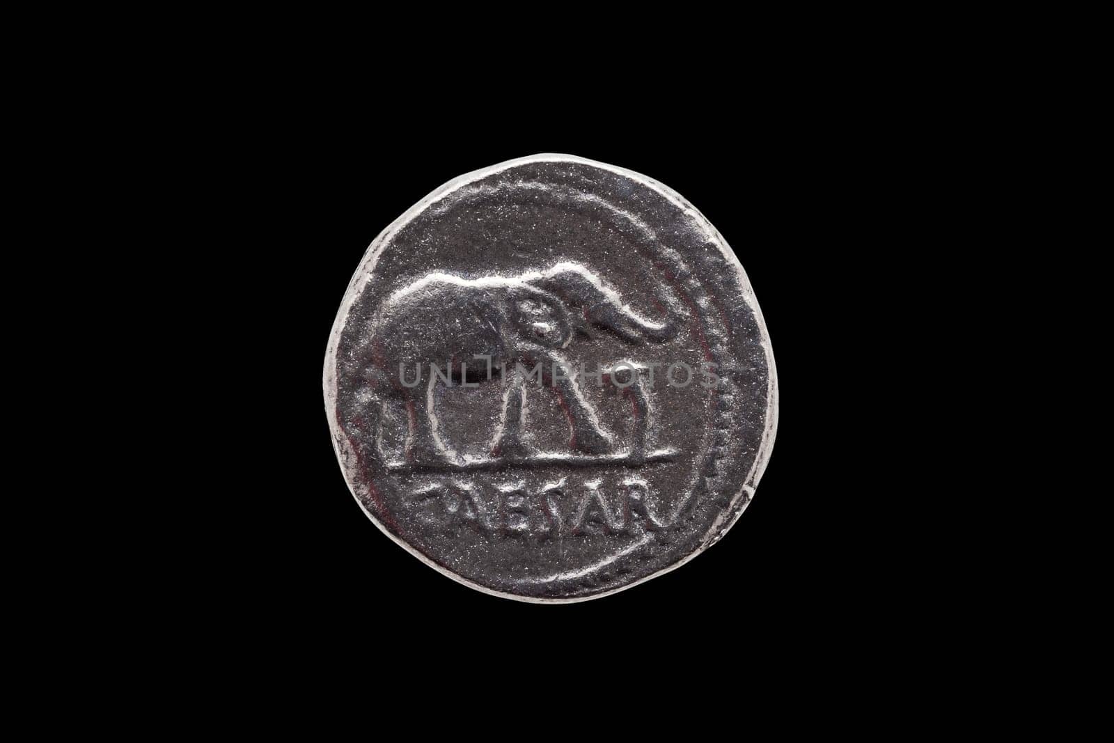 Silver Roman denarius coin replica of Roman emperor Julius Caesar celebrating his conquest of Gaul obverse showing an elephant and serpent isolated on a black background, stock photo image
