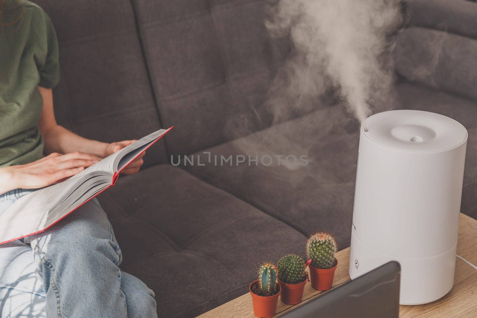 Household humidifier at home on table near woman reading on sofa