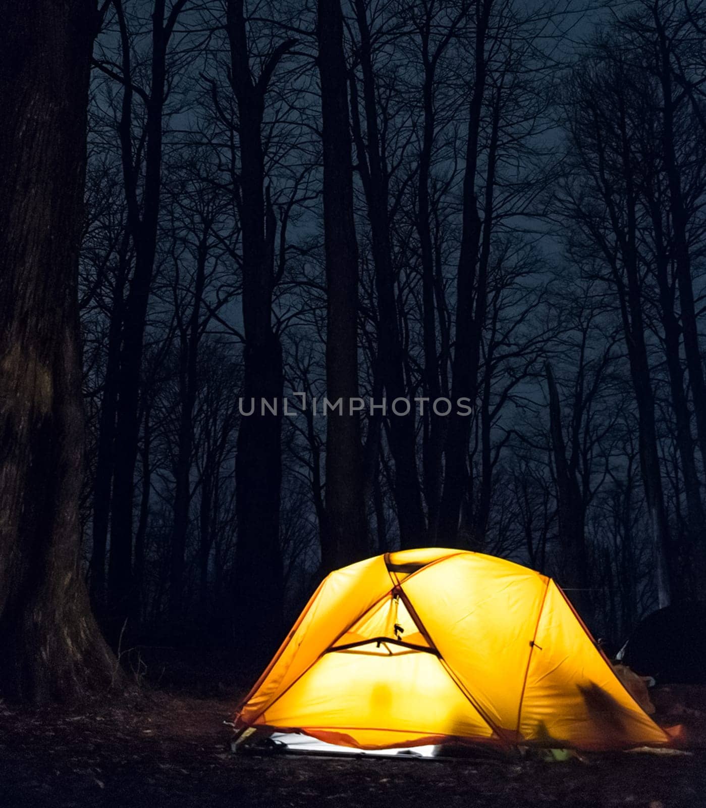 Light in a tent in the autumn forest. Overnight tourists.
