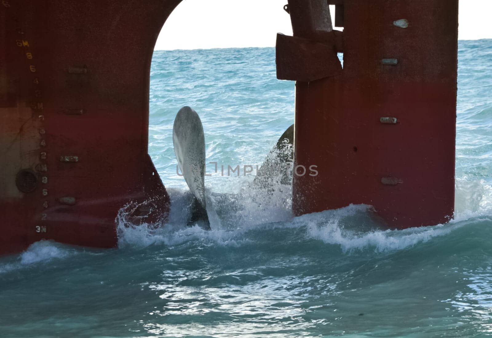 The propeller of the ship ran aground. The ship is on the shore.