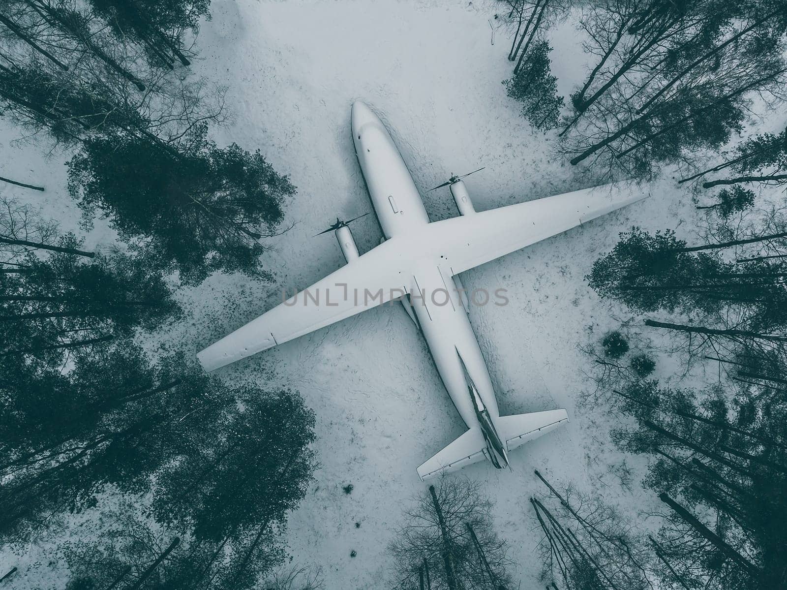Abandoned plane in the woods among the trees in winter.