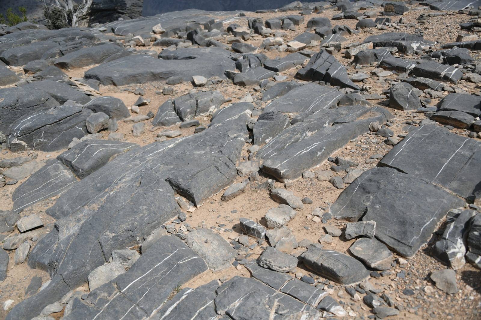Calcite veins in the limestone rock on the plateau in front of the Grand Canyon of Jabal Shams in Oman.