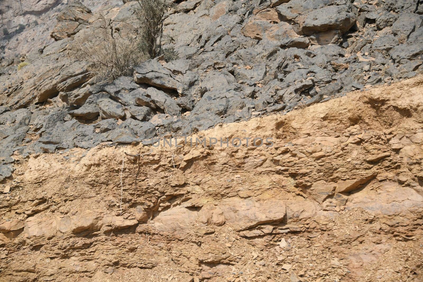 At the Grand Canyon Jabel Schams in Oman,the eroded discordance and limestone marl can be seen in bioclastic limestone with mussel shells.