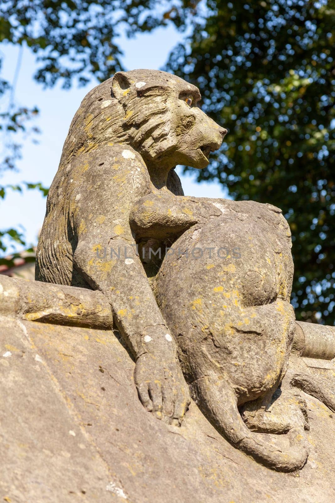 Baboon monkey sculpture from the Animal Wall of Cardiff Castle in Wales built in 1890 in Castle Street which is a popular travel destination tourist attraction landmark of the city stock photo image
