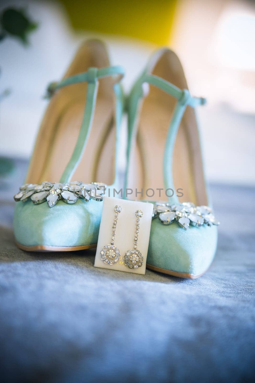 a elements, and fashion accessories and weddings fashion decoration