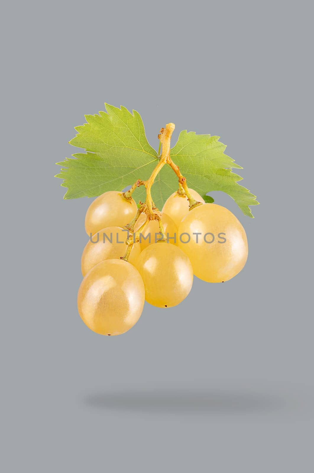 Minimal fruit concept. One bunch of grapes with shadow. Illuminating colour fruits on ultimate gray background. Design element. Full depth of field.