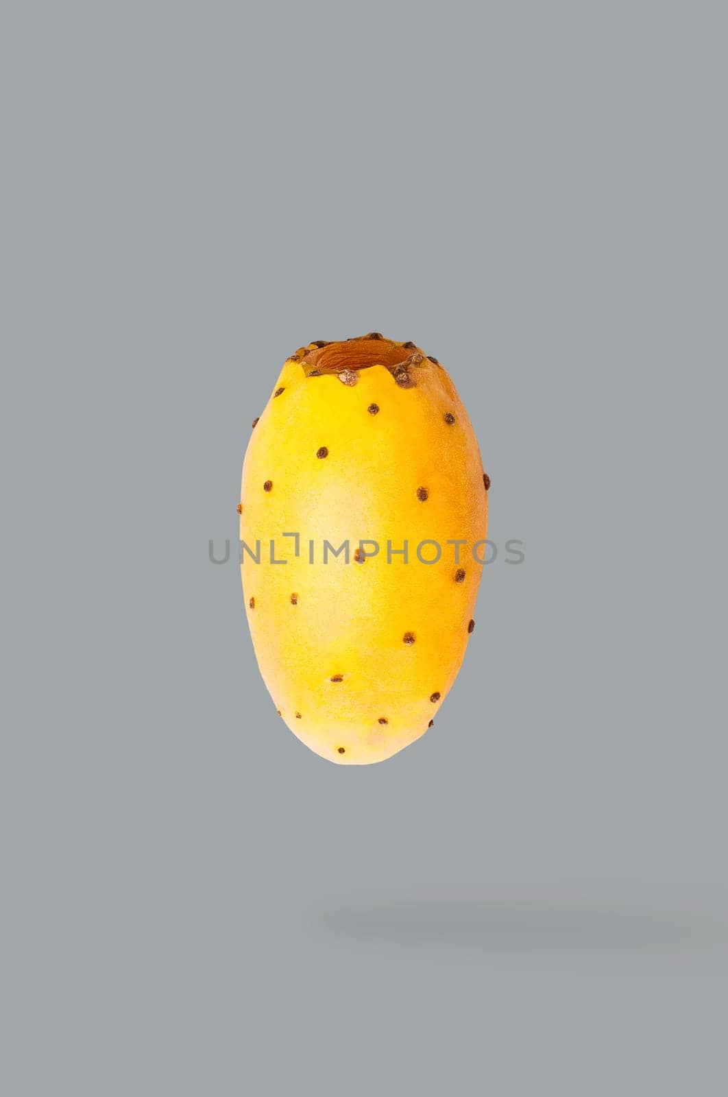 Minimal fruit concept. One whole prickly pears cactus fruit with shadow. Illuminating colour fruits on ultimate gray background. Design element. Full depth of field.