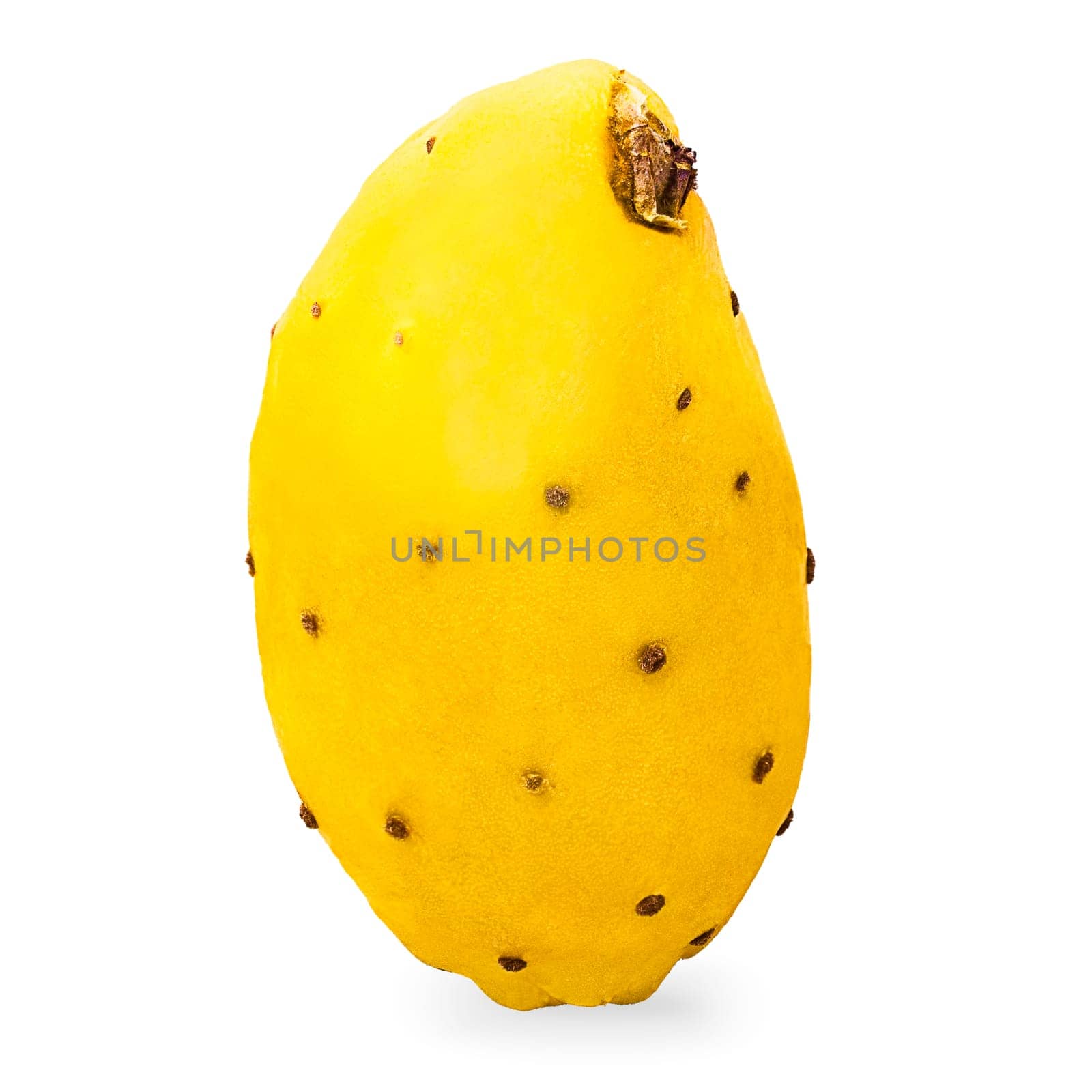 Isolated prickly pear fruits with shadow for packaging and advertisement. Full depth of field. Clip art image for package design.