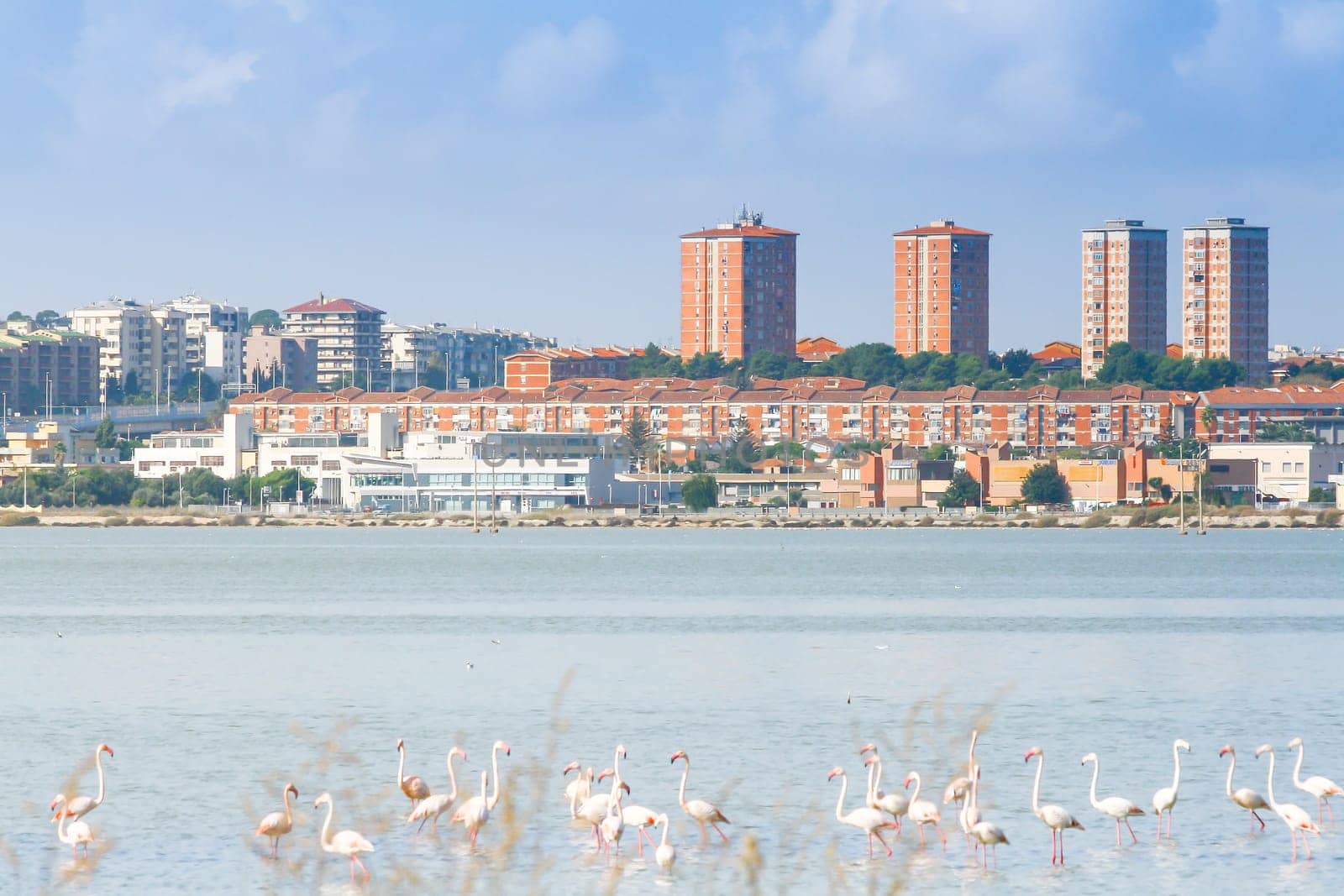 Nature Reserve Cagliari. .Protected park in the center of the city of Cagliari