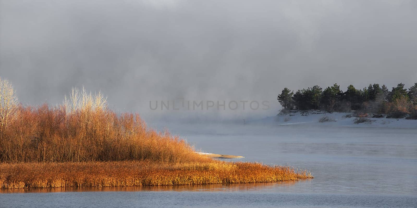 Winter frosty fog on an unfrozen river. Green Christmas trees and grass on the banks. Landscape nature.