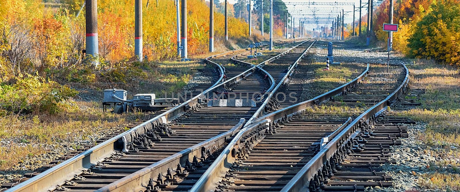 Railway station in a beautiful autumn forest with colorful trees. Many tracks, rails, sleepers, railway background.