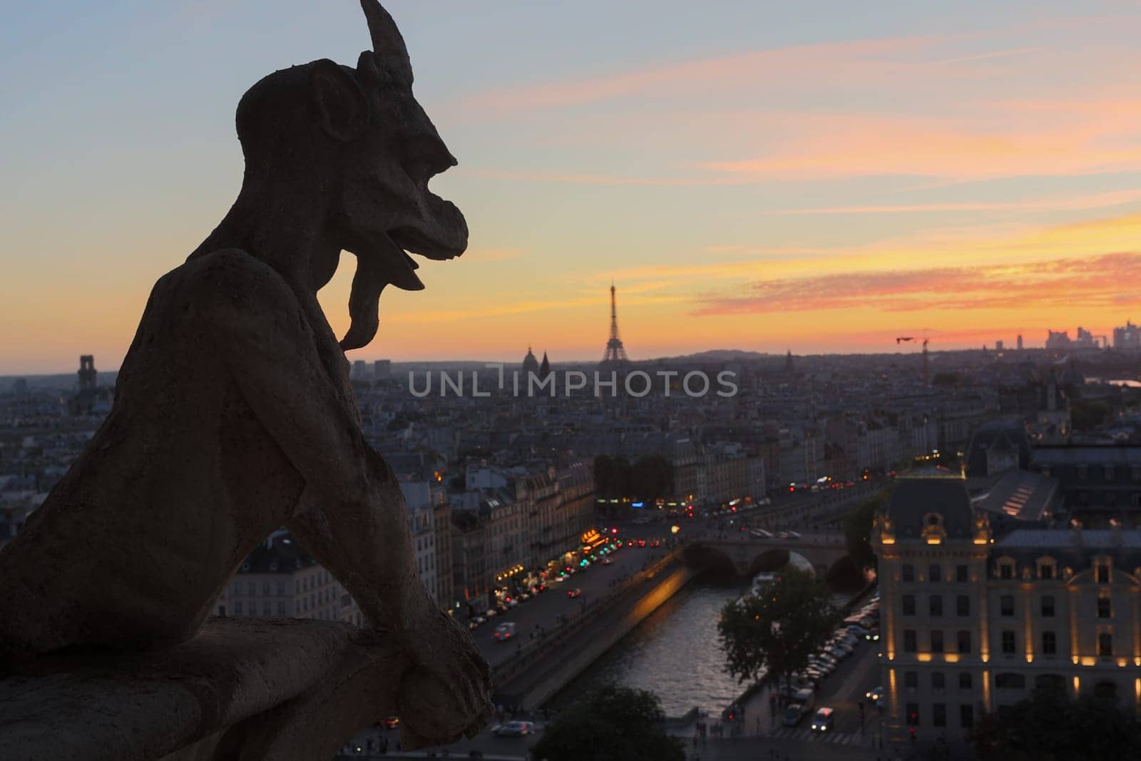 The Chimeras of Notre Dame watching the sunset in Paris