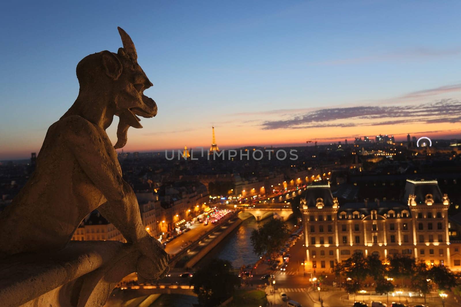 The Chimeras of Notre Dame watching the sunset in Paris