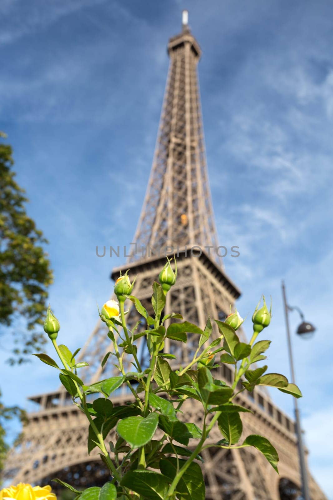 The main attraction of Paris - The Eiffel Tower