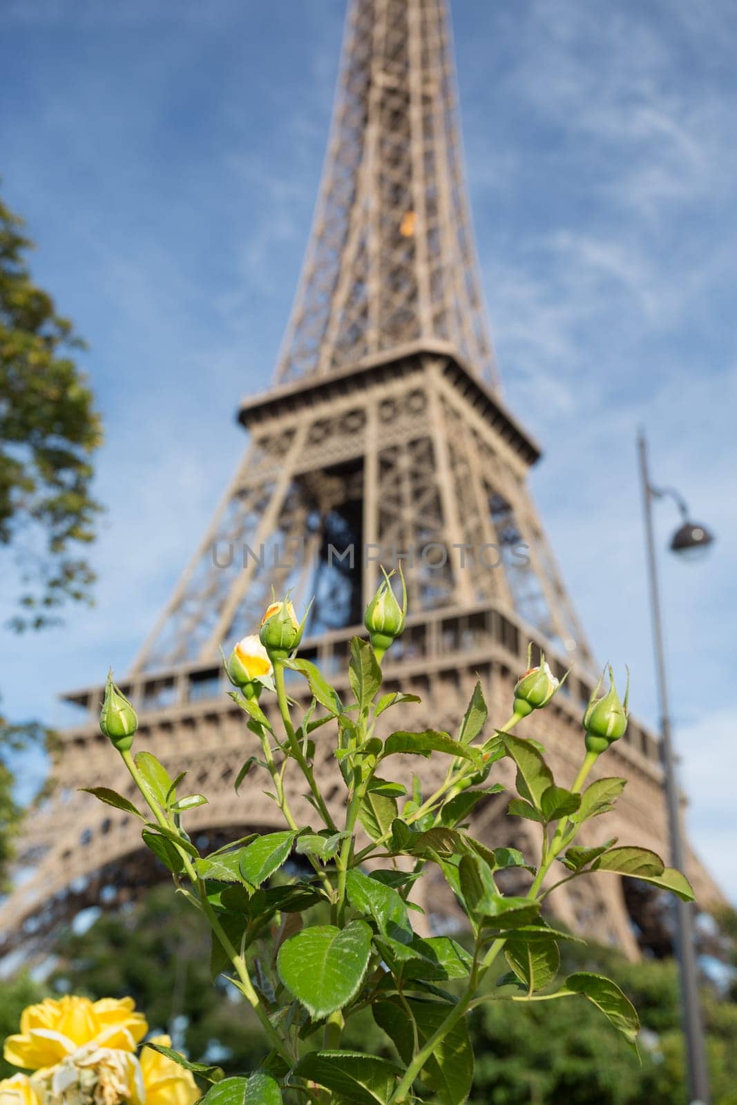The main attraction of Paris - The Eiffel Tower