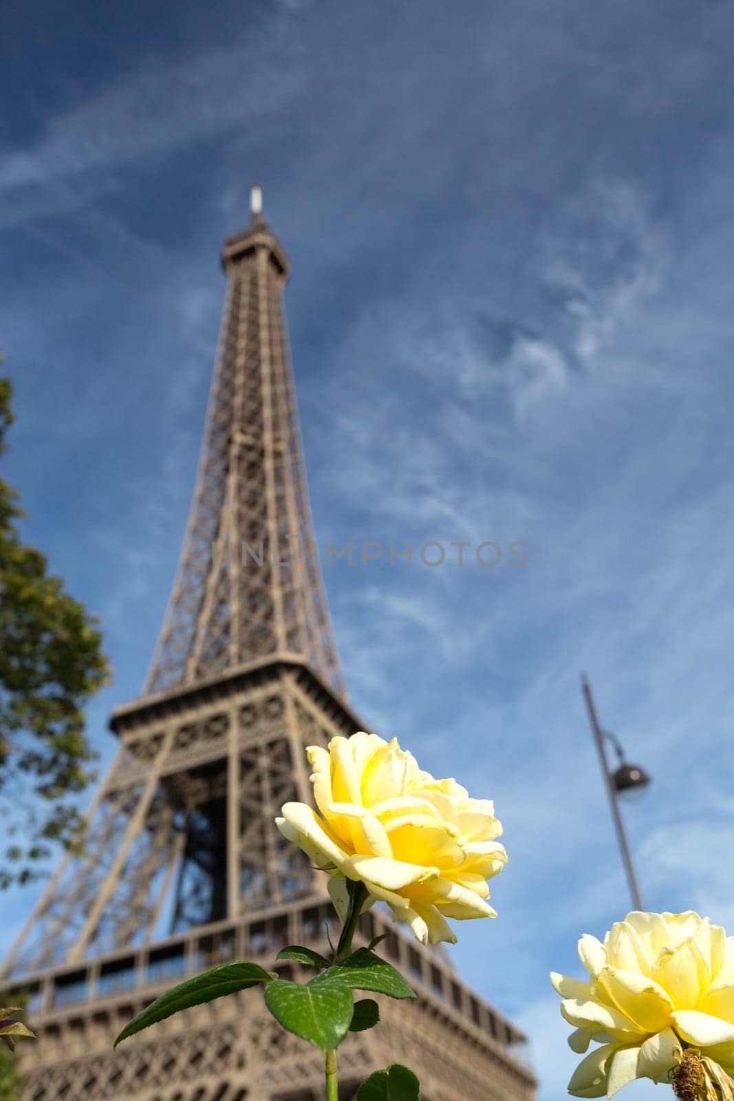 The main attraction of Paris - The Eiffel Tower