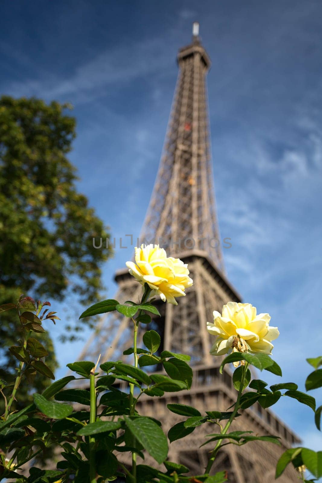 The main attraction of Paris - The Eiffel Tower