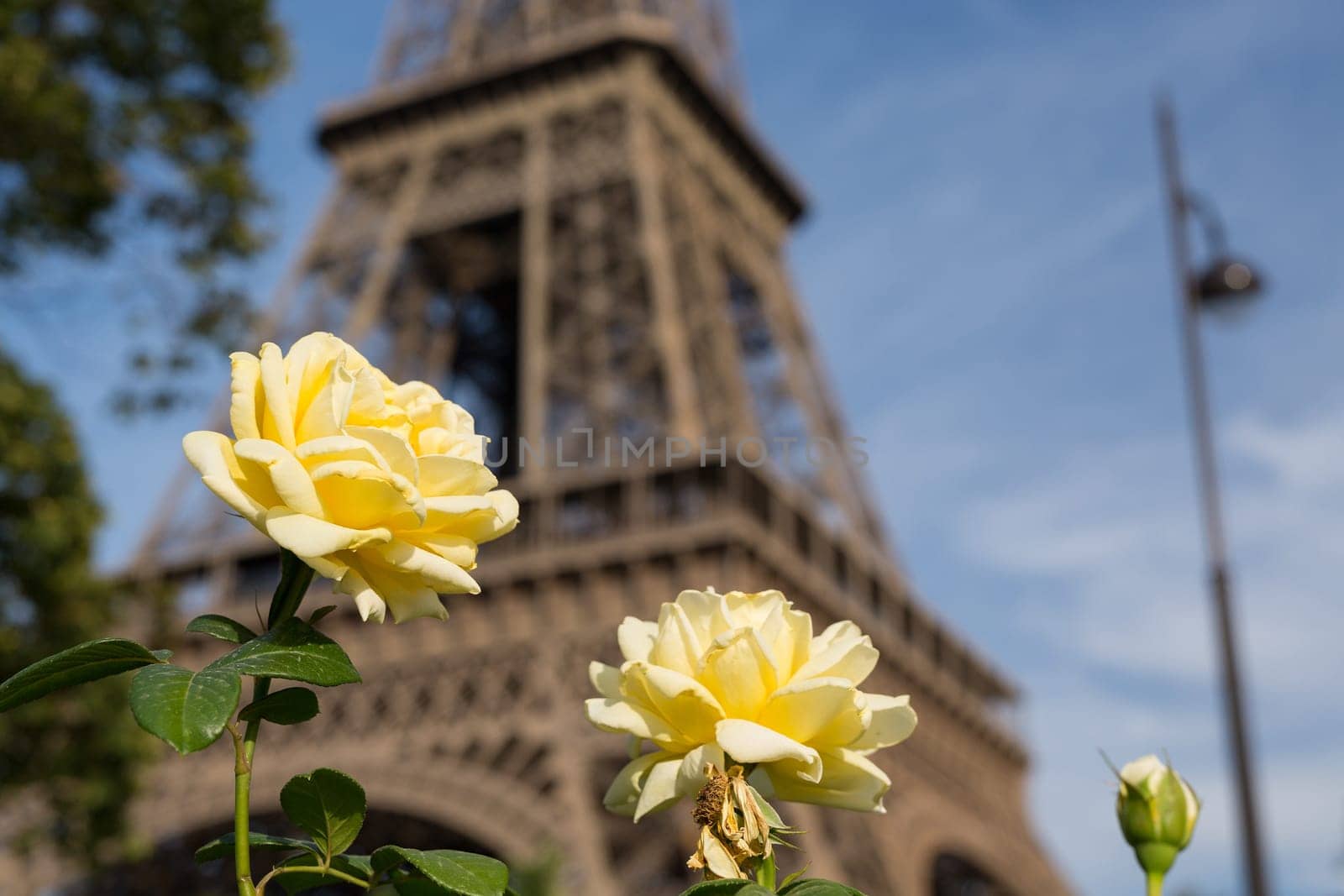 The main attraction of Paris - The Eiffel Tower