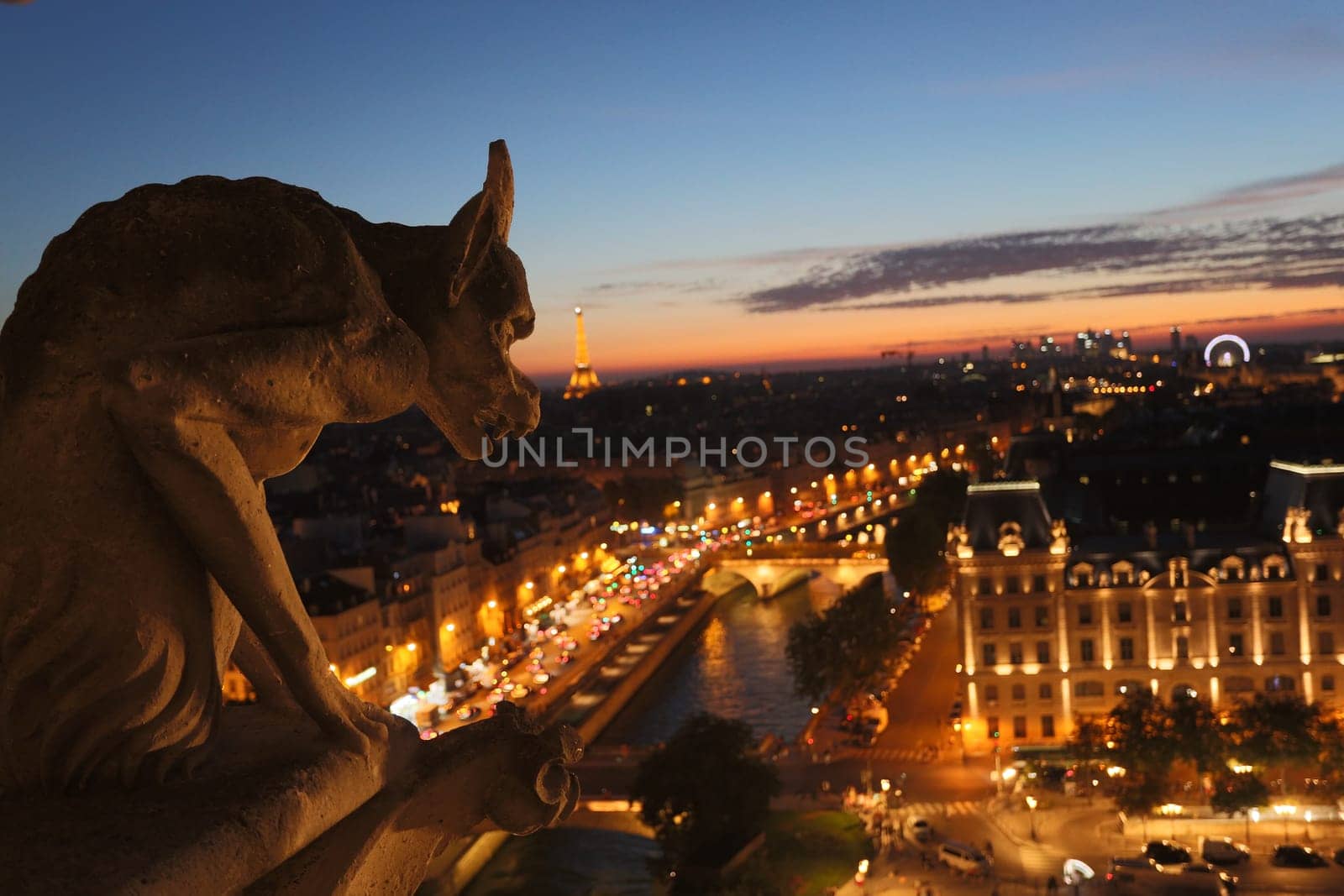 The Chimeras of Notre Dame watching the sunset in Paris