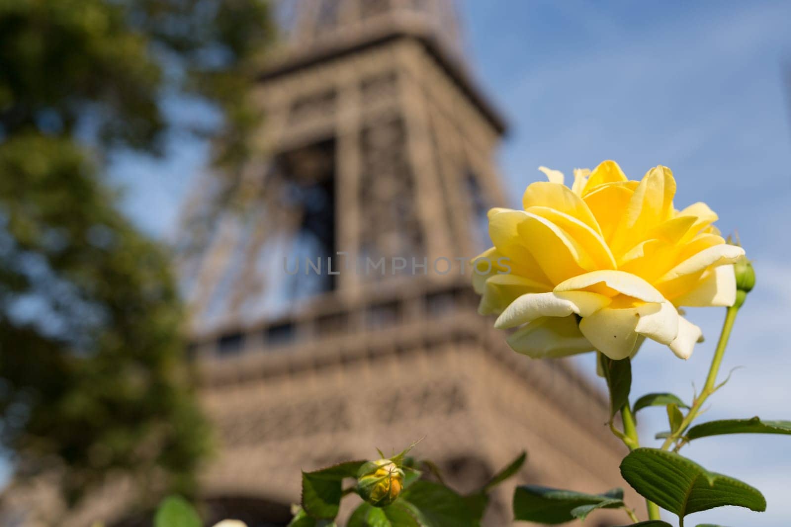 The main attraction of Paris - The Eiffel Tower
