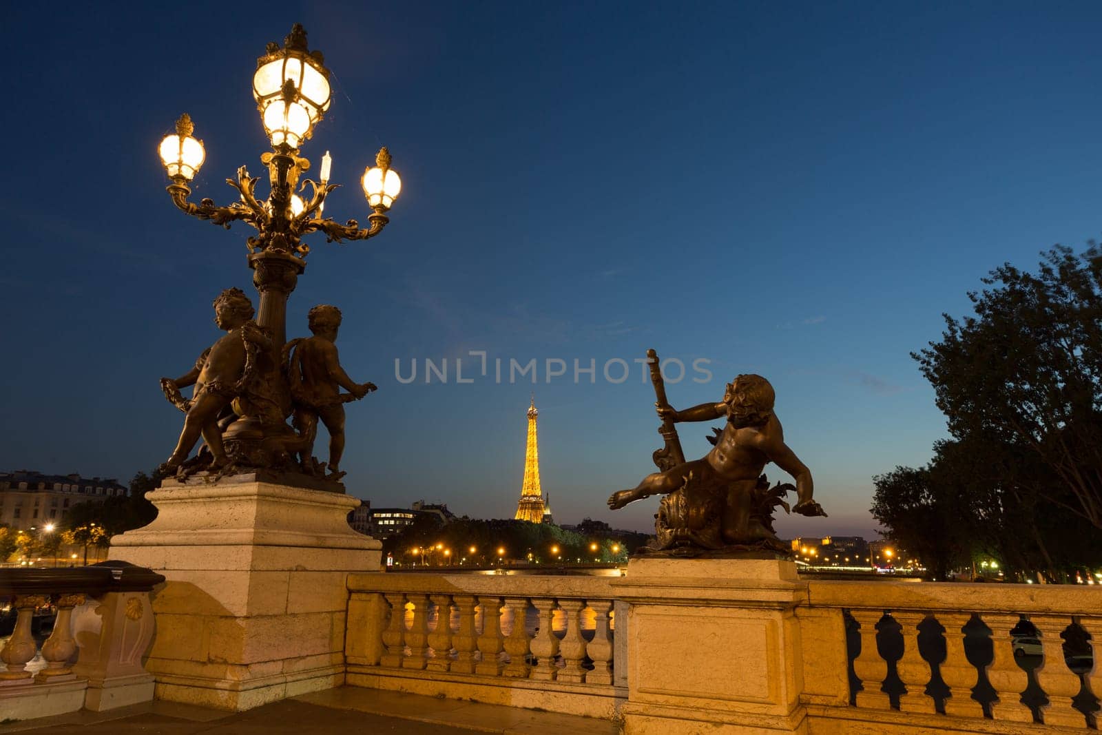 The beautiful Alexander III bridge in Paris