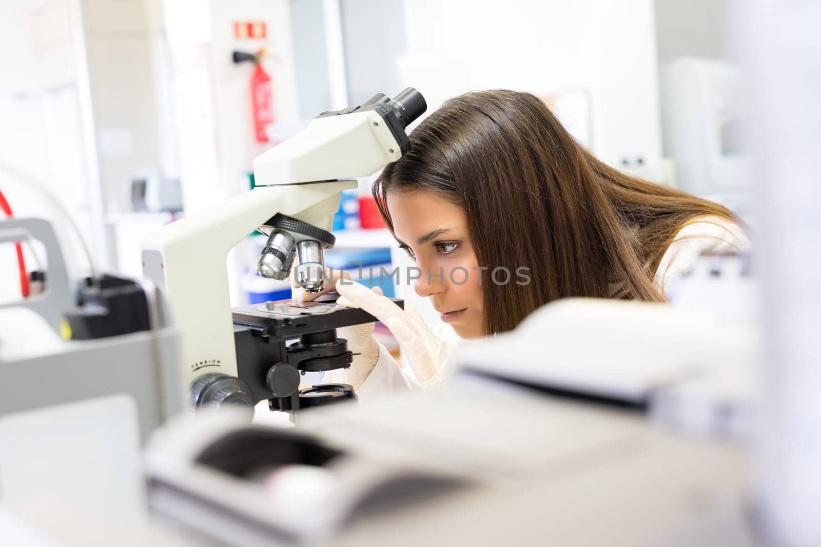 Beautiful young scientist working at the laboratory