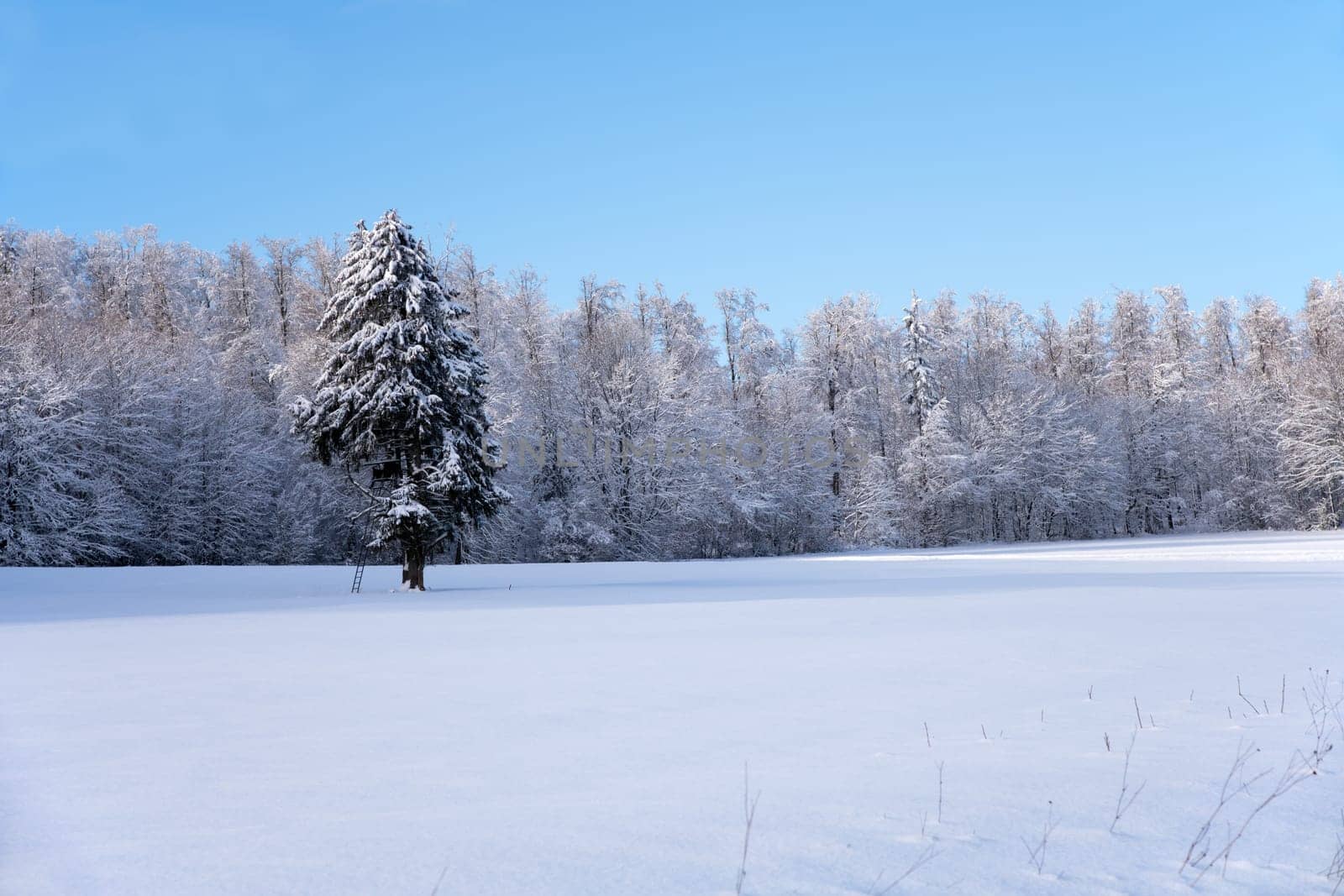 snow covered winter landscape