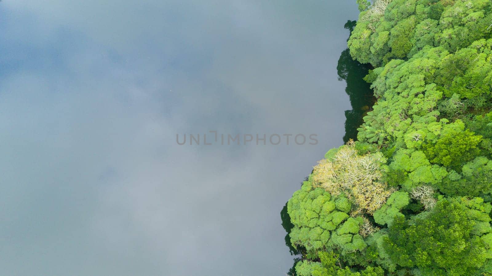 The astonishing greens of the archipelago of Azores - Portugal