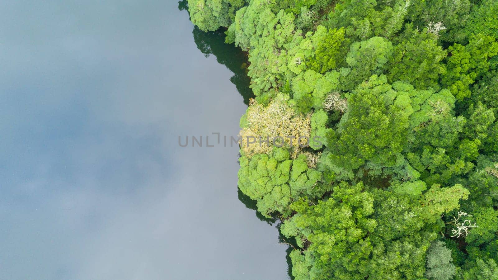 The astonishing greens of the archipelago of Azores - Portugal