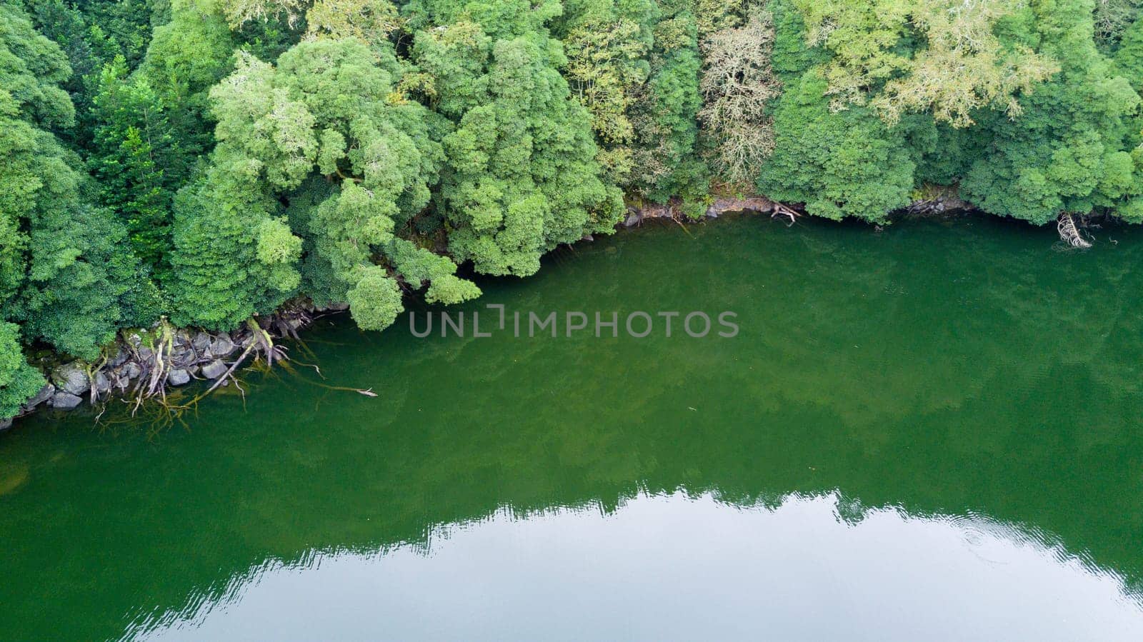 The astonishing greens of the archipelago of Azores - Portugal