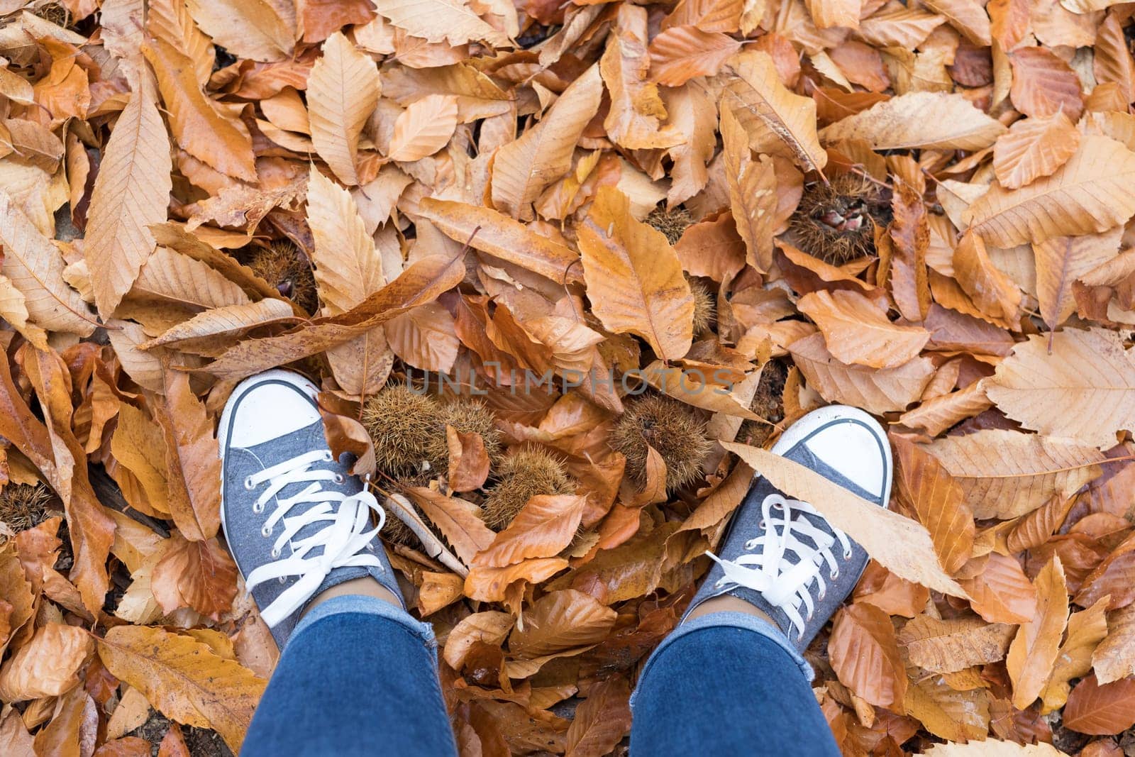 Fall, autumn, leaves, legs and shoes. Conceptual image of legs in shoes on the autumn leaves. Feet shoes walking in nature