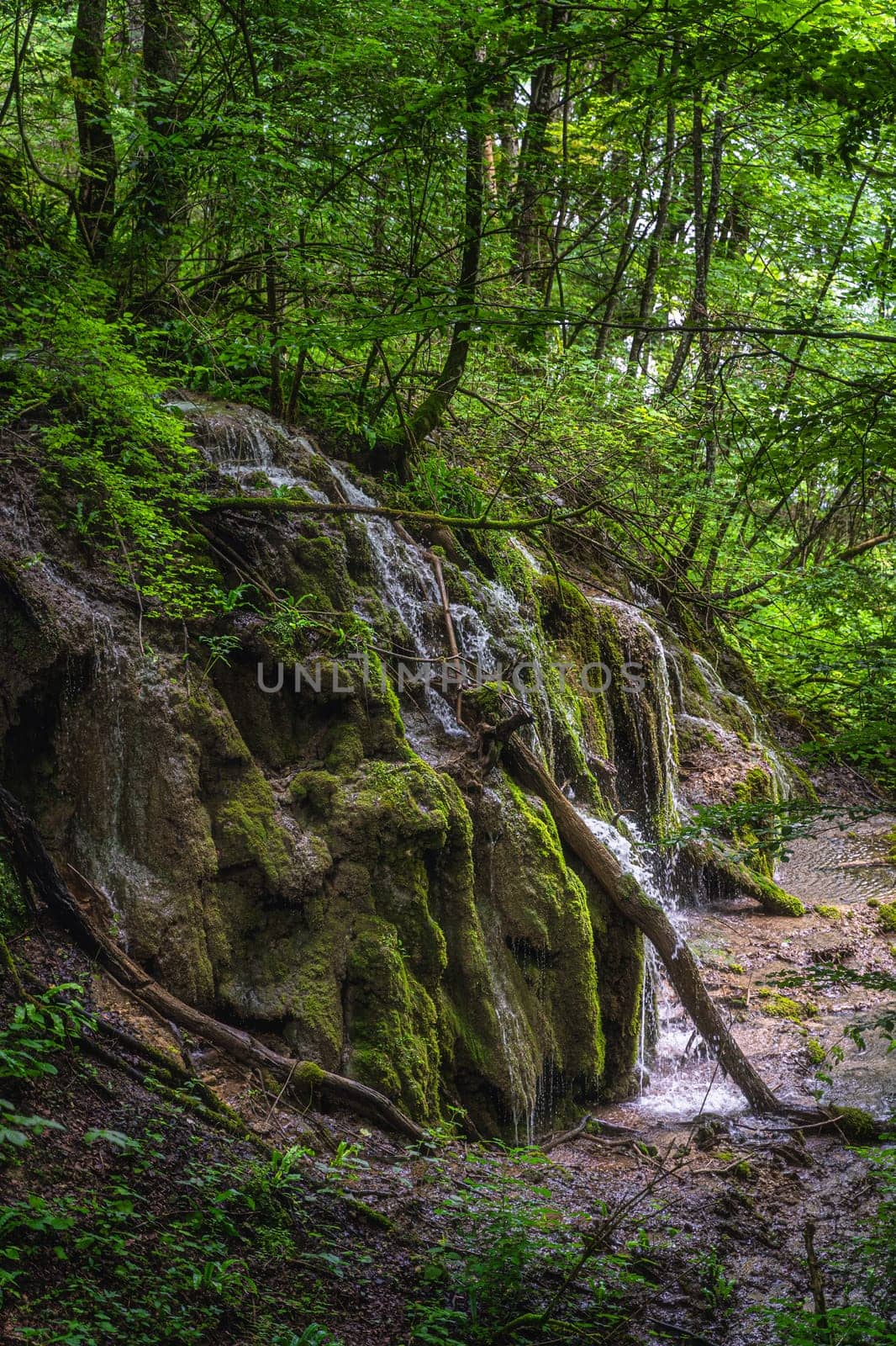 Closeup on green mossy hill with waterfalls and cascades of water in lush wetland of Plitvice Lakes National Park, UNESCO World Heritage in Croatia