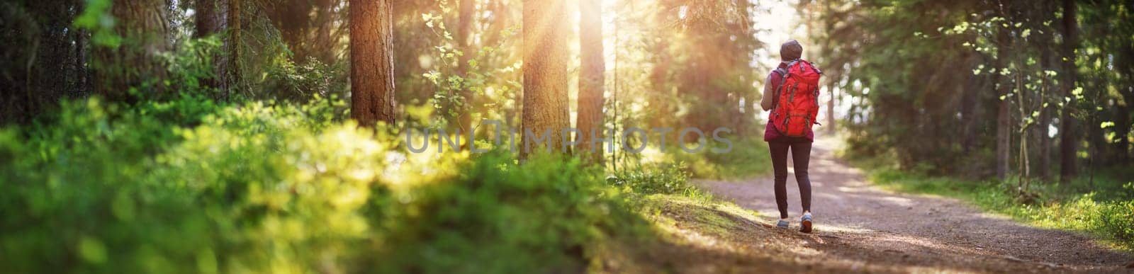 Woman hiking and going camping in nature. Journey at the wildlife area.