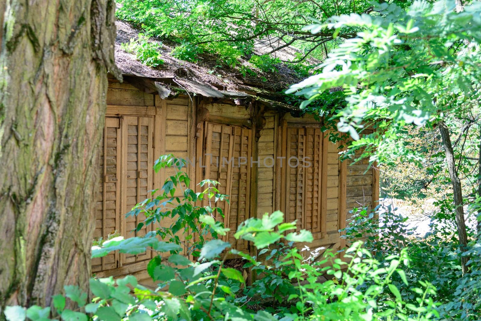 Old and very ruined buildings outside Kharkiv, in an Ukrainian forest