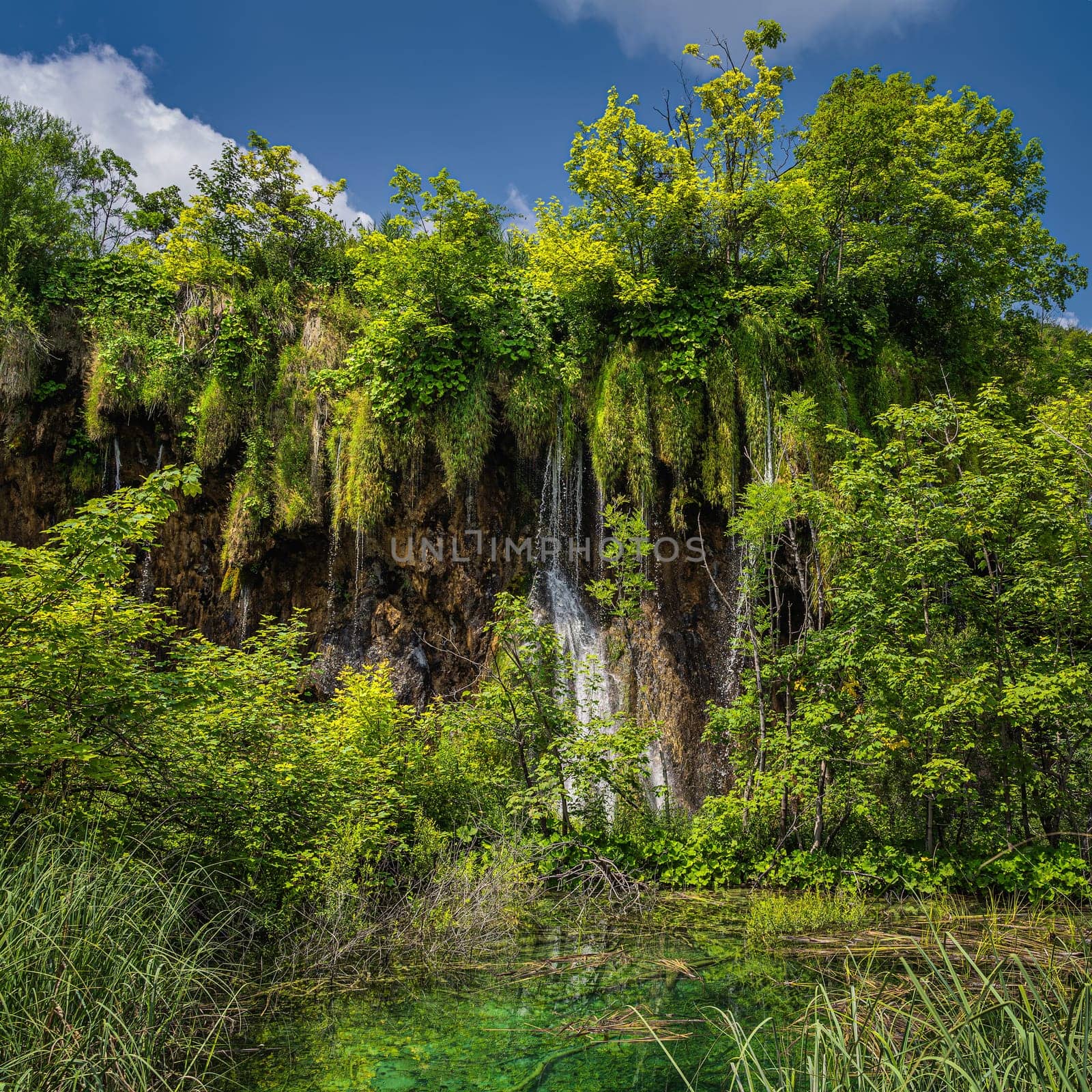 Waterfall illuminated by sunlight seen through trees with little pond in green lush forest, Plitvice Lakes National Park UNESCO World Heritage Croatia