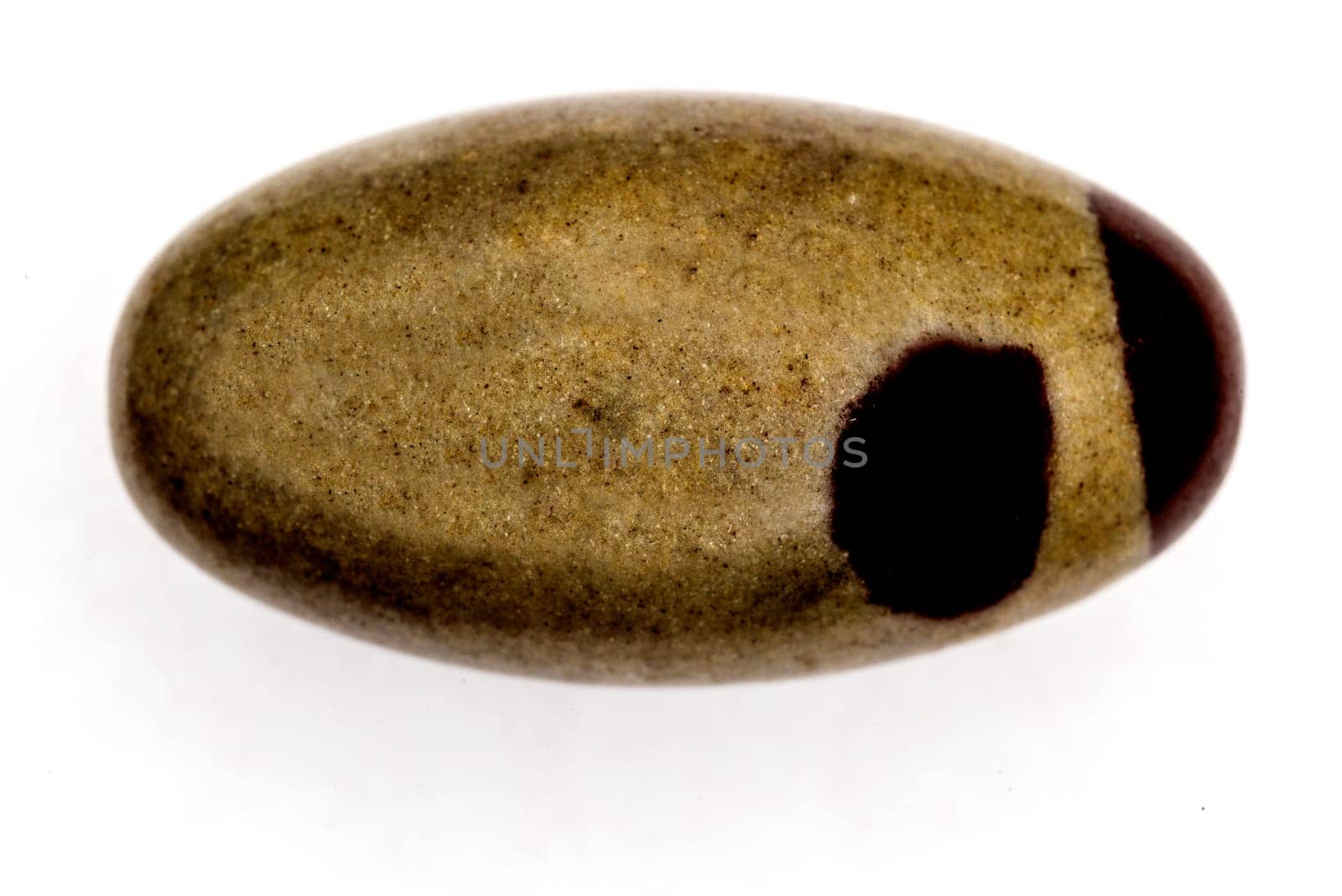Shiva Lingam stone on a white background