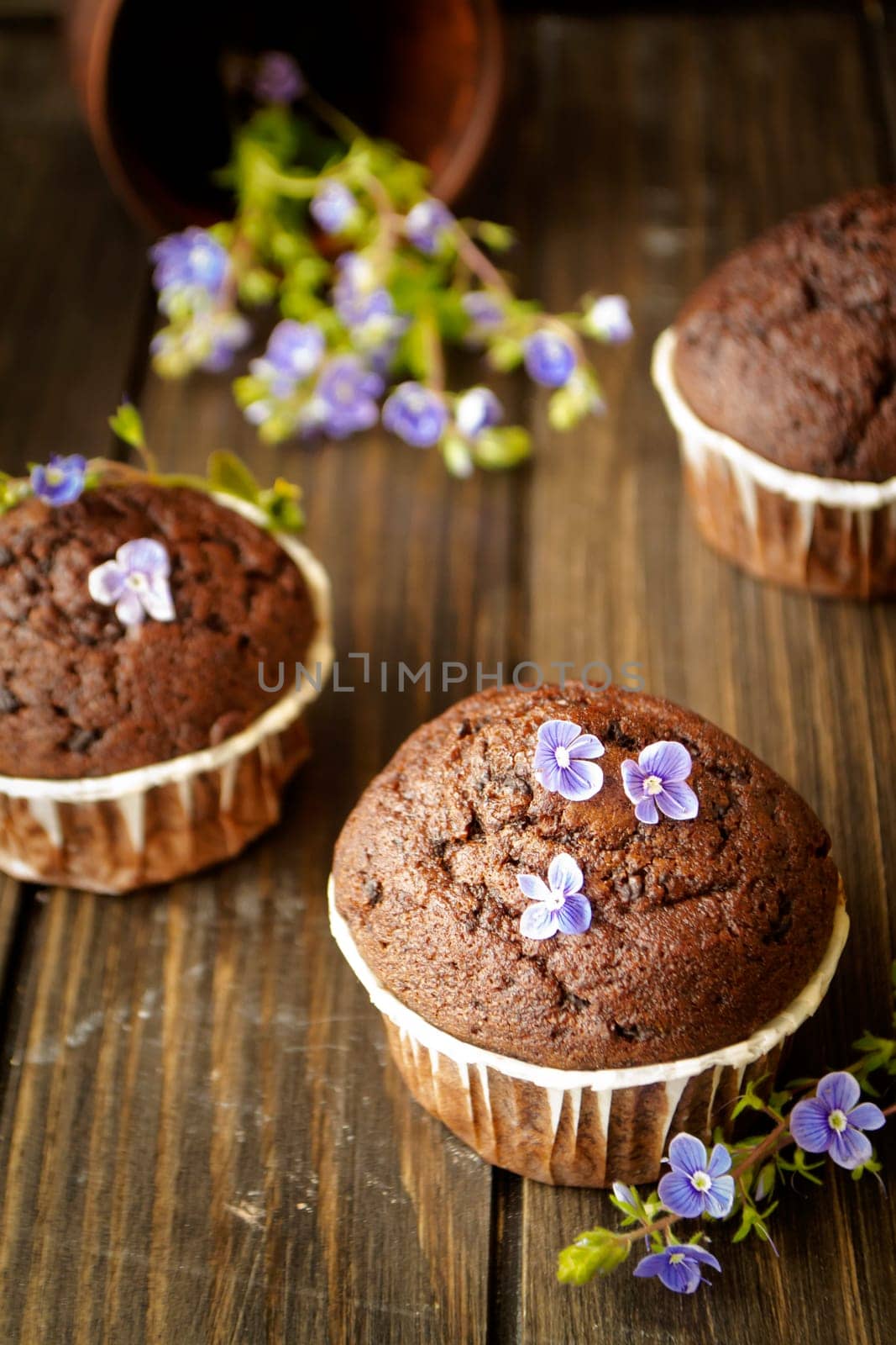 chocolate cupcake with black background and blue spring flowers. Vertical image