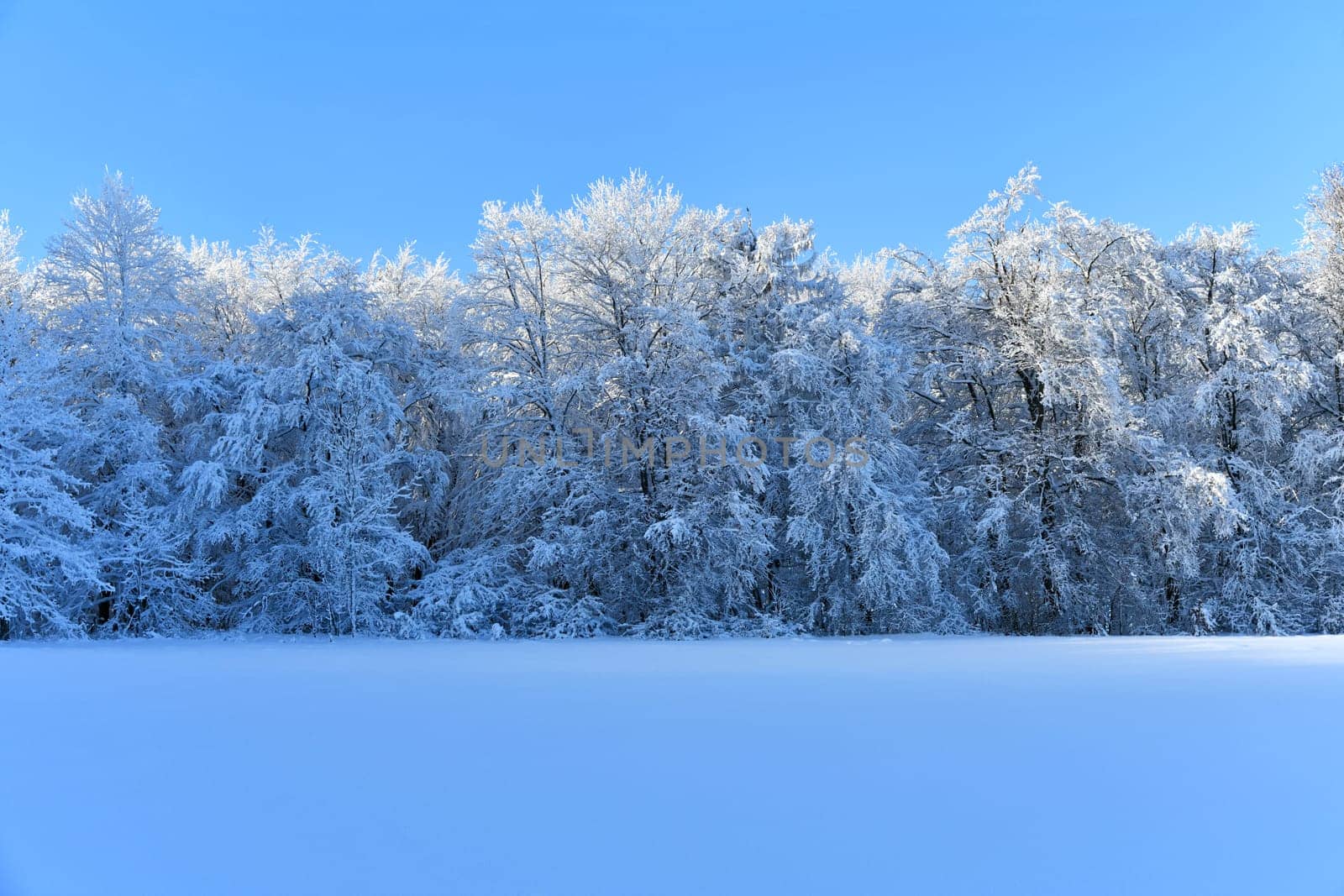 snow in the Rhön