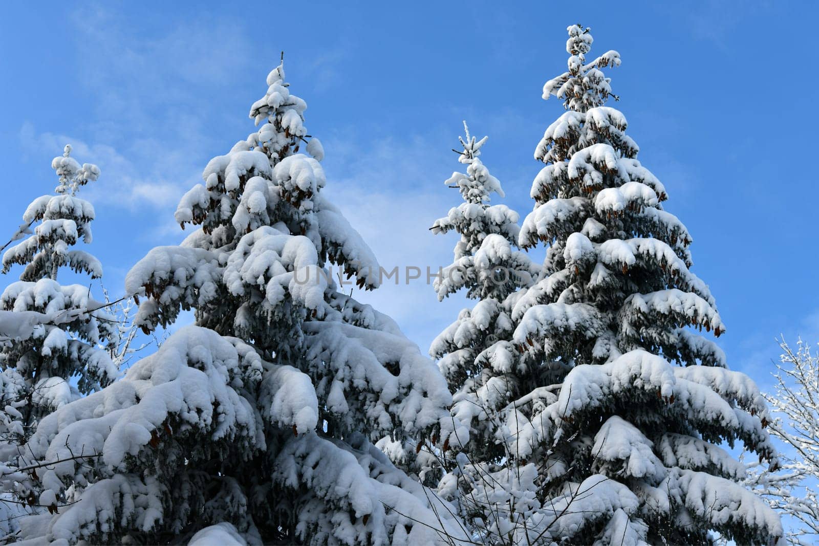 snow in the Rhön