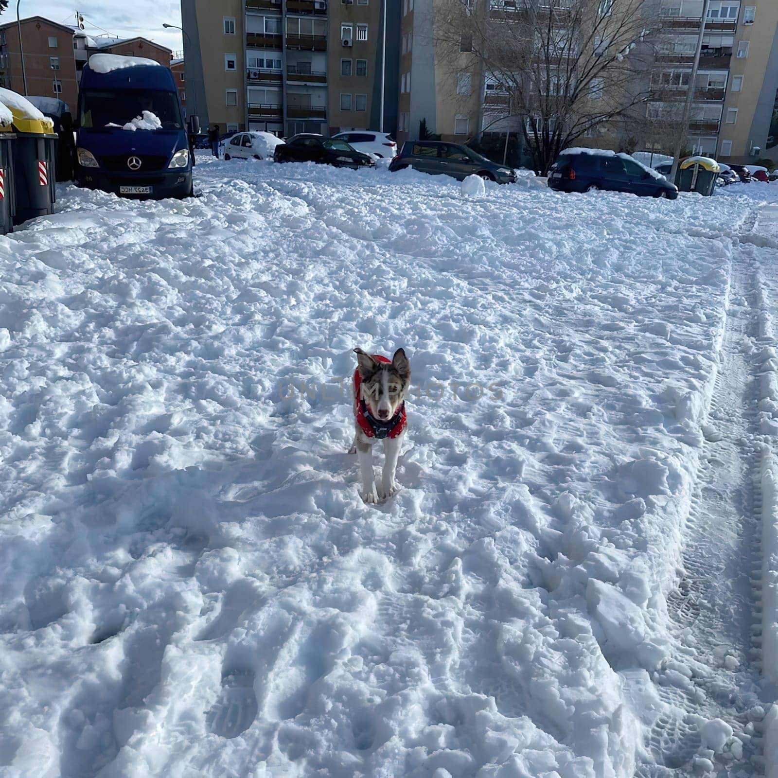 the great historic filomena  snowfall in Madrid